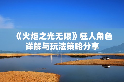 《火炬之光无限》狂人角色详解与玩法策略分享