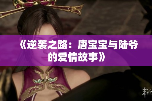 《逆袭之路：唐宝宝与陆爷的爱情故事》
