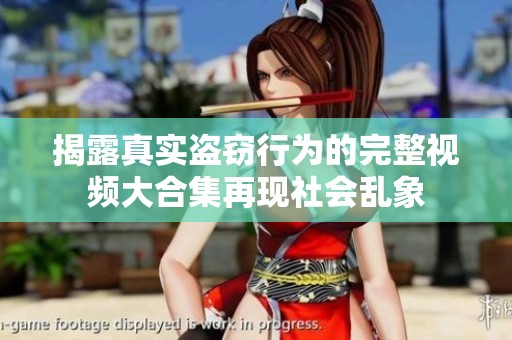 揭露真实盗窃行为的完整视频大合集再现社会乱象