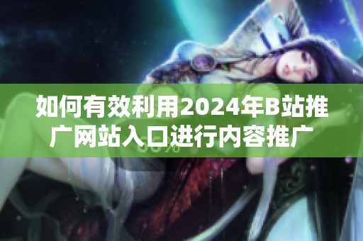 如何有效利用2024年B站推广网站入口进行内容推广
