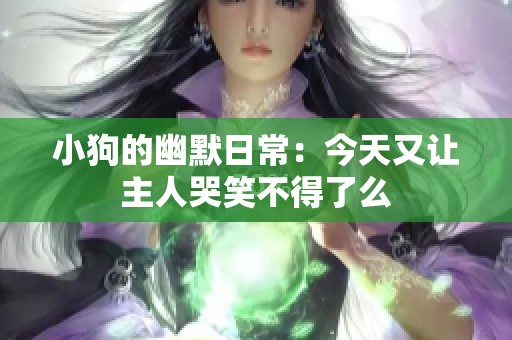 小狗的幽默日常：今天又让主人哭笑不得了么