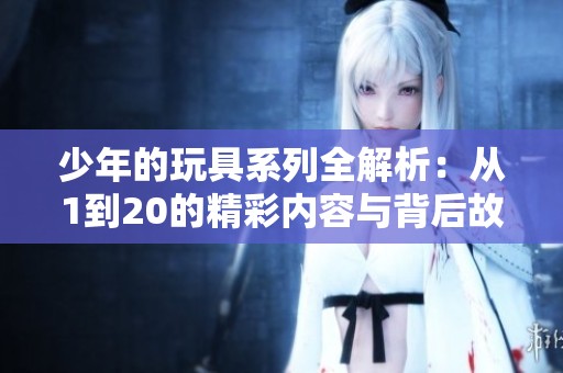 少年的玩具系列全解析：从1到20的精彩内容与背后故事