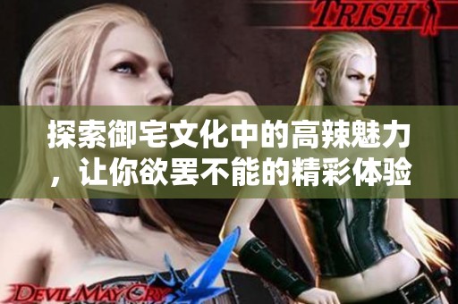 探索御宅文化中的高辣魅力，让你欲罢不能的精彩体验