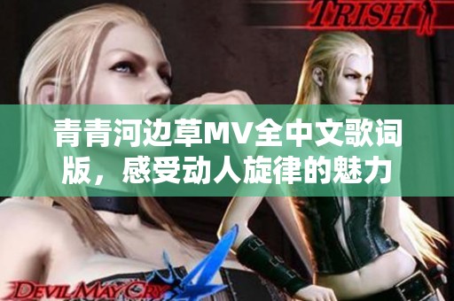 青青河边草MV全中文歌词版，感受动人旋律的魅力