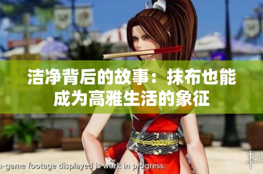 洁净背后的故事：抹布也能成为高雅生活的象征