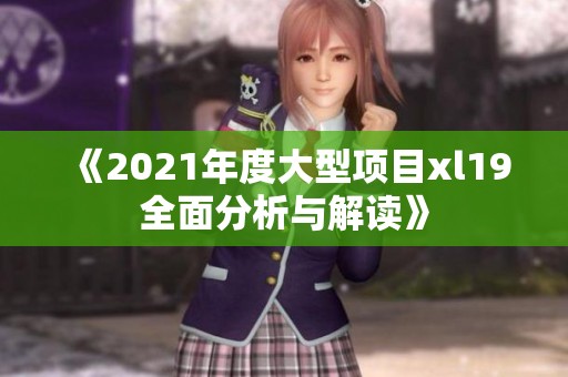 《2021年度大型项目xl19全面分析与解读》