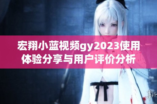 宏翔小蓝视频gy2023使用体验分享与用户评价分析