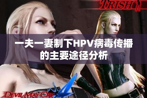 一夫一妻制下HPV病毒传播的主要途径分析