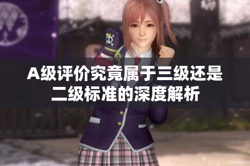 A级评价究竟属于三级还是二级标准的深度解析