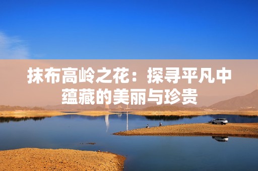 抹布高岭之花：探寻平凡中蕴藏的美丽与珍贵