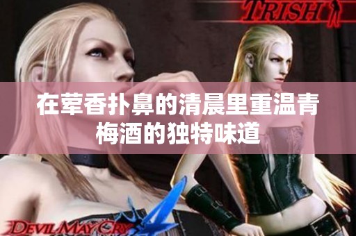 在荤香扑鼻的清晨里重温青梅酒的独特味道