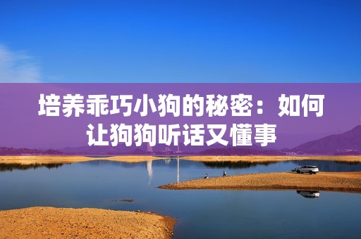 培养乖巧小狗的秘密：如何让狗狗听话又懂事