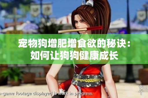 宠物狗增肥增食欲的秘诀：如何让狗狗健康成长