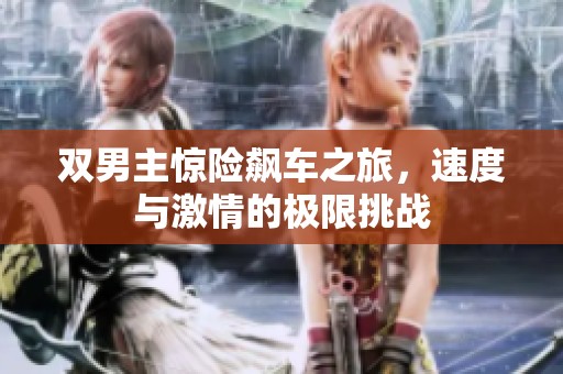 双男主惊险飙车之旅，速度与激情的极限挑战