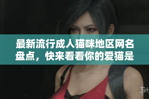 最新流行成人猫咪地区网名盘点，快来看看你的爱猫是否上榜