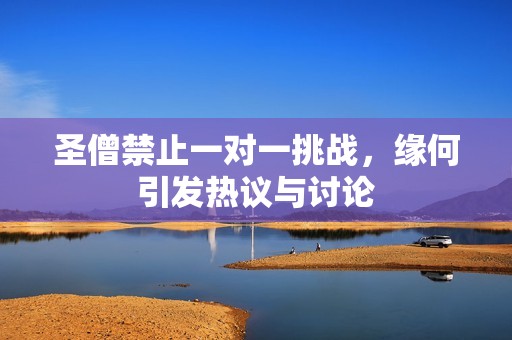 圣僧禁止一对一挑战，缘何引发热议与讨论