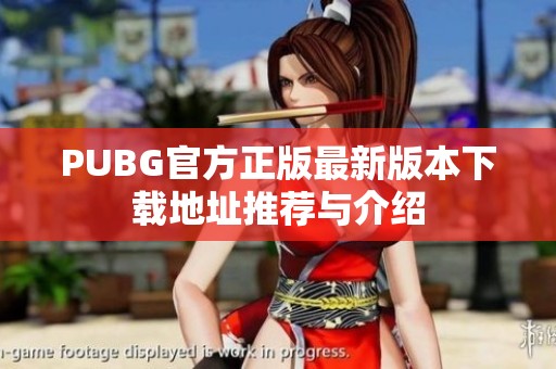 PUBG官方正版最新版本下载地址推荐与介绍