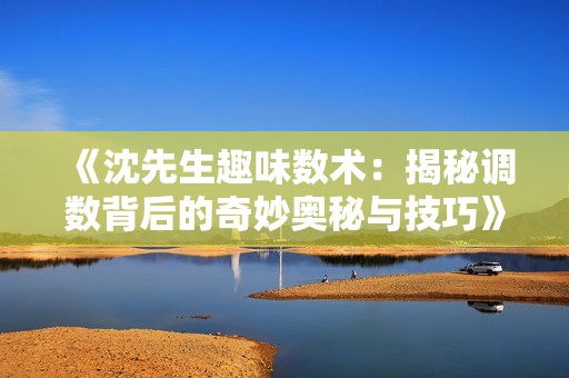 《沈先生趣味数术：揭秘调数背后的奇妙奥秘与技巧》