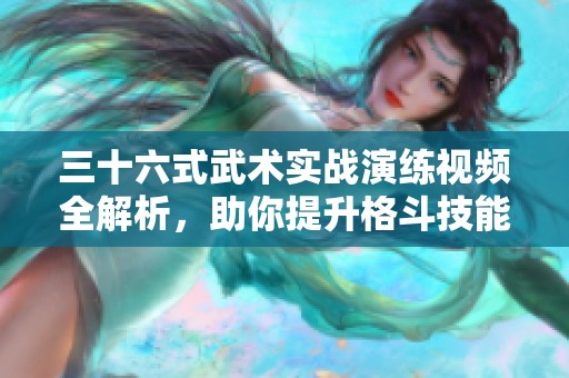 三十六式武术实战演练视频全解析，助你提升格斗技能