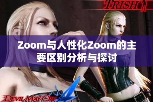 Zoom与人性化Zoom的主要区别分析与探讨