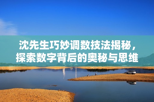 沈先生巧妙调数技法揭秘，探索数字背后的奥秘与思维方法