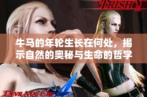 牛马的年轮生长在何处，揭示自然的奥秘与生命的哲学