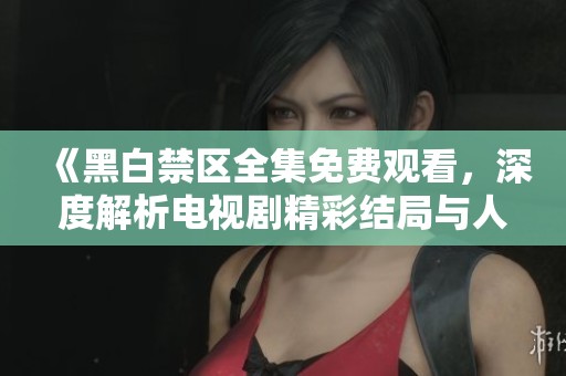 《黑白禁区全集免费观看，深度解析电视剧精彩结局与人物命运》