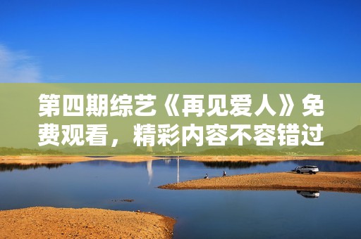 第四期综艺《再见爱人》免费观看，精彩内容不容错过