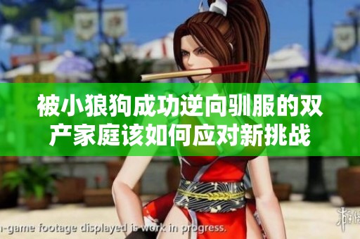 被小狼狗成功逆向驯服的双产家庭该如何应对新挑战