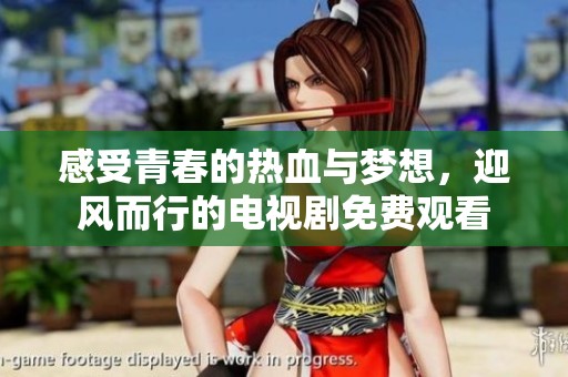 感受青春的热血与梦想，迎风而行的电视剧免费观看