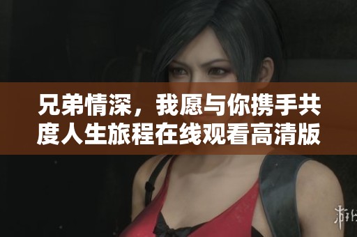 兄弟情深，我愿与你携手共度人生旅程在线观看高清版