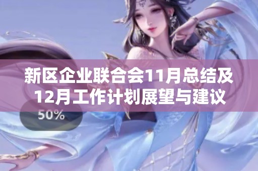 新区企业联合会11月总结及12月工作计划展望与建议