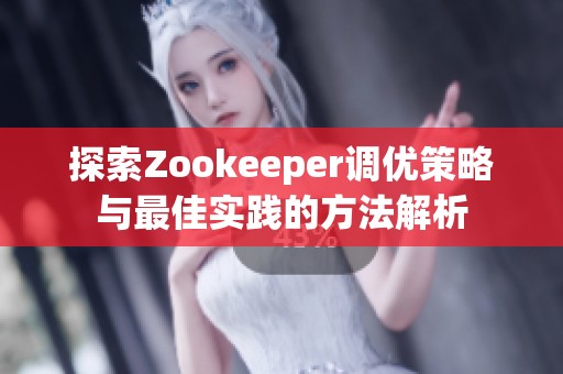 探索Zookeeper调优策略与最佳实践的方法解析