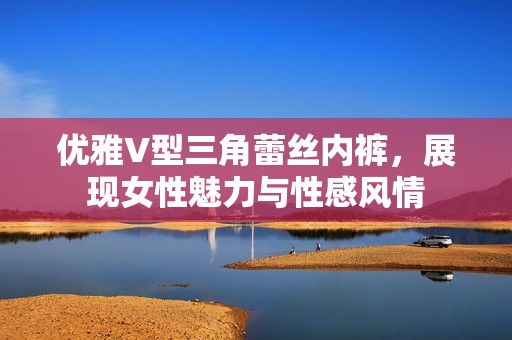 优雅V型三角蕾丝内裤，展现女性魅力与性感风情