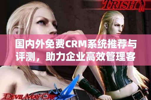 国内外免费CRM系统推荐与评测，助力企业高效管理客户关系