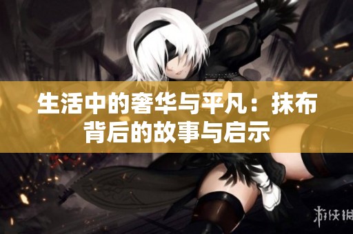 生活中的奢华与平凡：抹布背后的故事与启示