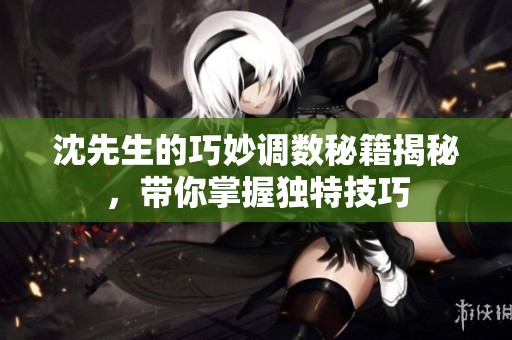沈先生的巧妙调数秘籍揭秘，带你掌握独特技巧