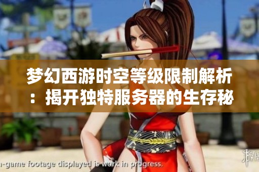 梦幻西游时空等级限制解析：揭开独特服务器的生存秘密