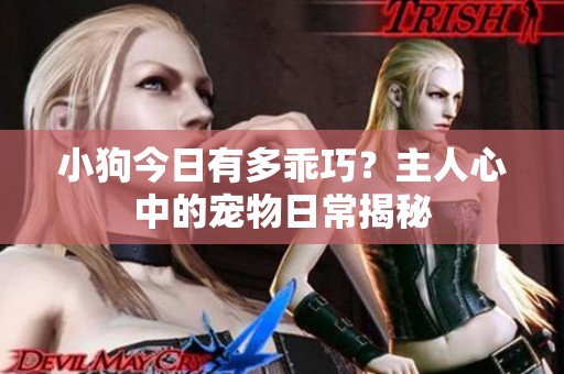 小狗今日有多乖巧？主人心中的宠物日常揭秘