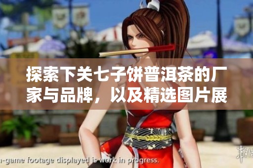 探索下关七子饼普洱茶的厂家与品牌，以及精选图片展示