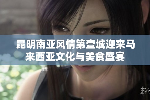 昆明南亚风情第壹城迎来马来西亚文化与美食盛宴