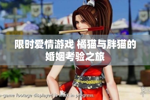 限时爱情游戏 橘猫与胖猫的婚姻考验之旅