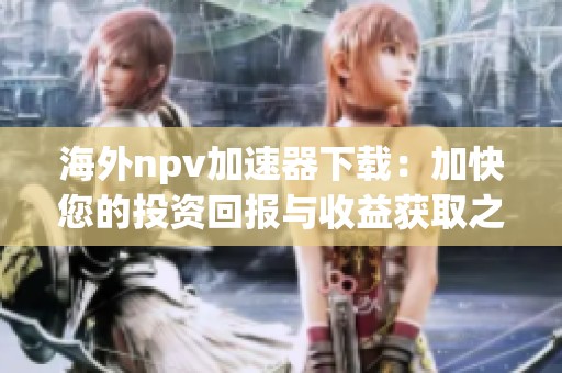 海外npv加速器下载：加快您的投资回报与收益获取之路
