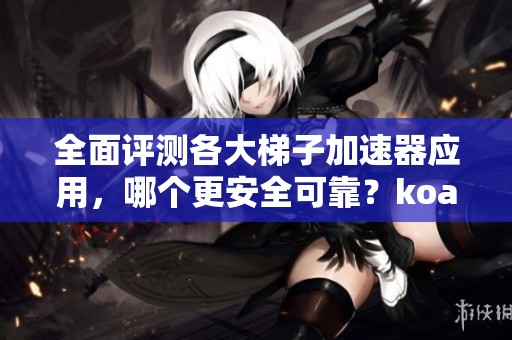 全面评测各大梯子加速器应用，哪个更安全可靠？koala加速器值得一试！