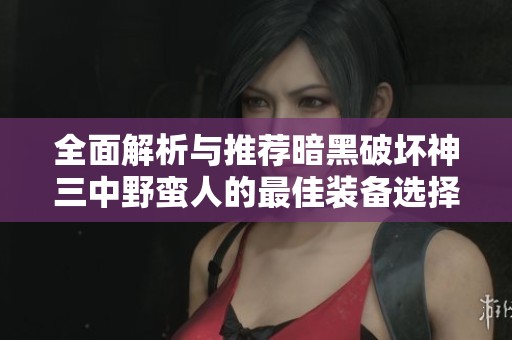 全面解析与推荐暗黑破坏神三中野蛮人的最佳装备选择与搭配秘诀