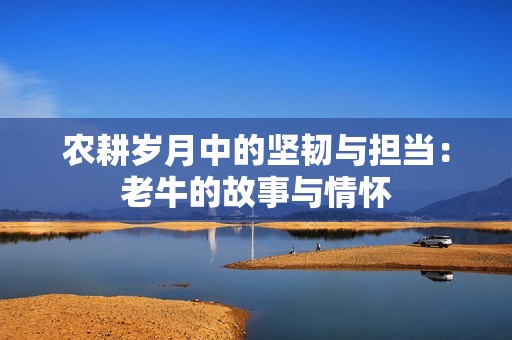 农耕岁月中的坚韧与担当：老牛的故事与情怀