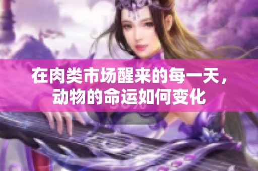 在肉类市场醒来的每一天，动物的命运如何变化