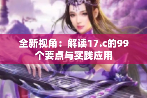全新视角：解读17.c的99个要点与实践应用