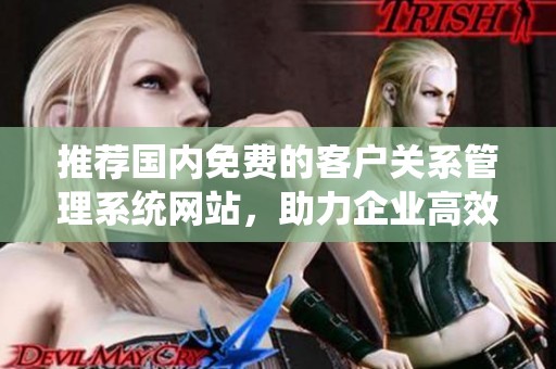 推荐国内免费的客户关系管理系统网站，助力企业高效管理客户数据