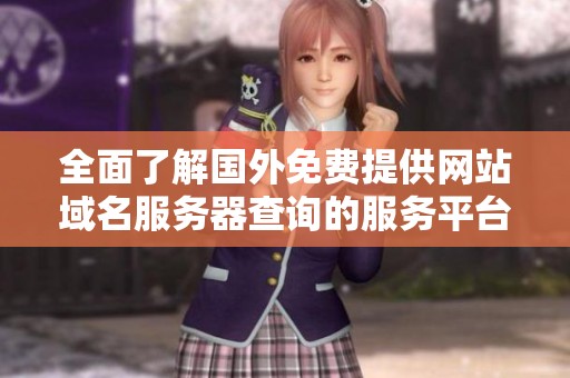 全面了解国外免费提供网站域名服务器查询的服务平台